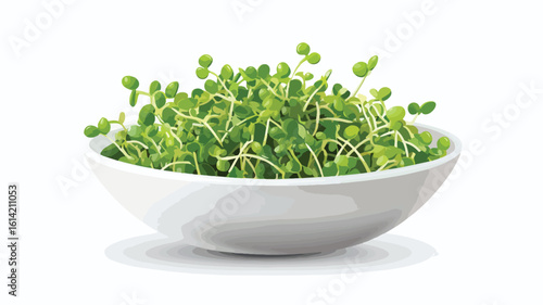 Fresh Sprout Salad in White Bowl