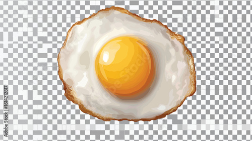 Perfect Sunny Side Up Egg Illustration
