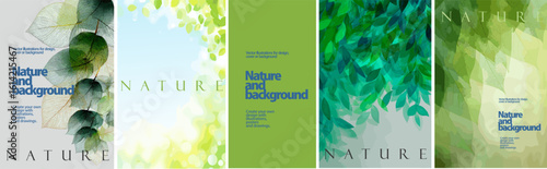 Elegant nature vector backgrounds with translucent leaves and green foliage. Perfect for eco design, posters, flyers, organic branding, and wellness projects.

