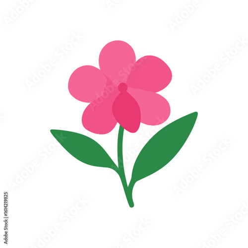 flowers Balsam illustration vector on white background
Vector illustration on white background flowers