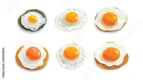 Variety of Fried Eggs Set