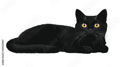 Vintage Black Cat Illustration Wide Angle