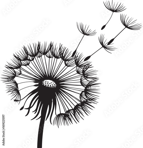 Elegant black and white dandelion flower with floating seeds illustration on a white background