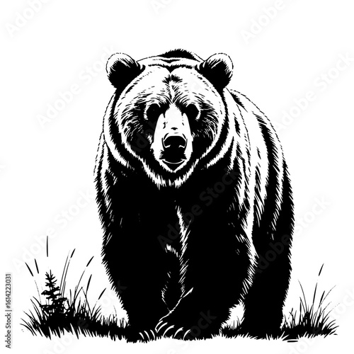 Grizzly bear, black silhouette sketch. Vector illustration. A formidable strong predator of the forest, isolated on a white background