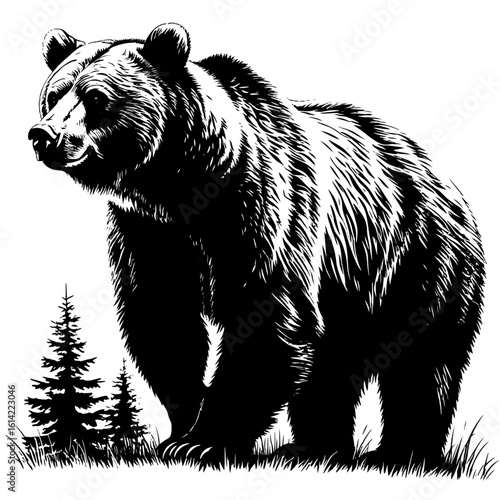 Grizzly bear, black silhouette sketch. Vector illustration. A formidable strong predator of the forest, isolated on a white background
