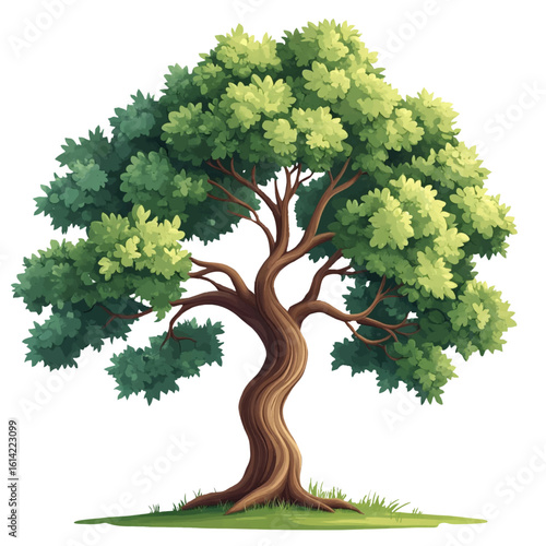 A tall tree with lush foliage on the lawn. Vector illustration. A forest tree with a curved trunk and a large crown, isolated on a white background