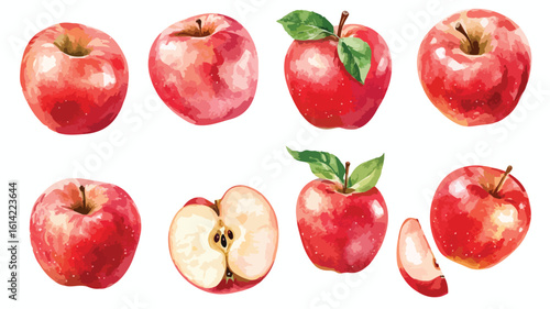 Apple Watercolor Element Set on Transparent Background