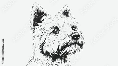 West Highland White Terrier Portrait