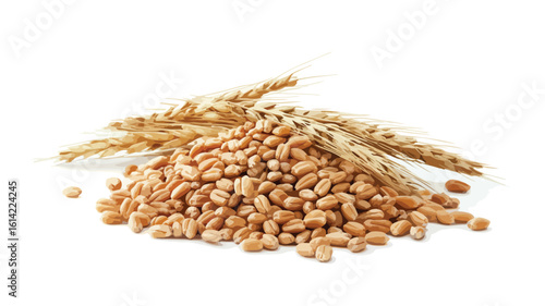Wheat Ear Agriculture Harvest Concept