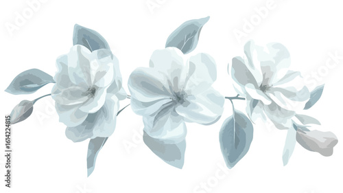 Elegant White Flowers in Wide Angle