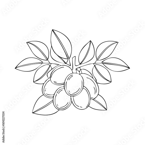 Plums Branch Line Art Illustration Black and White Simple Design