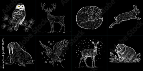 Detailed Hand-Drawn Arctic Wildlife. B&W line art sketches of Polar animals: Snowy Owl, Reindeer, Arctic Fox, Arctic Hare, Walrus, Pika. Nature, winter, education, conservation designs