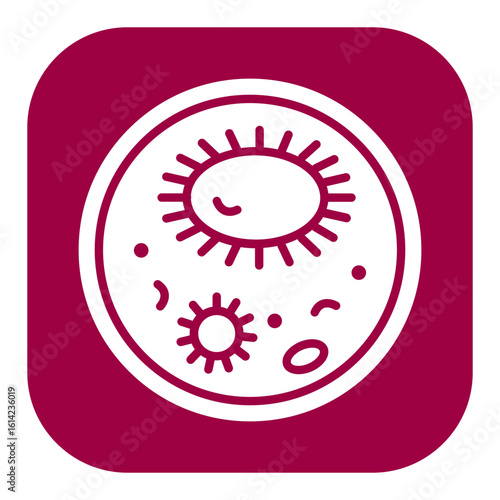Bacteria