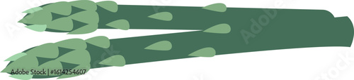 Fresh asparagus stems vector illustration