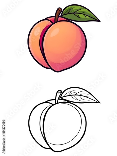 Set of peach fruit illustrations, color and black and white outline for coloring book.