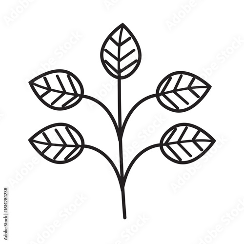 Aesthetic leaf vector lineart 