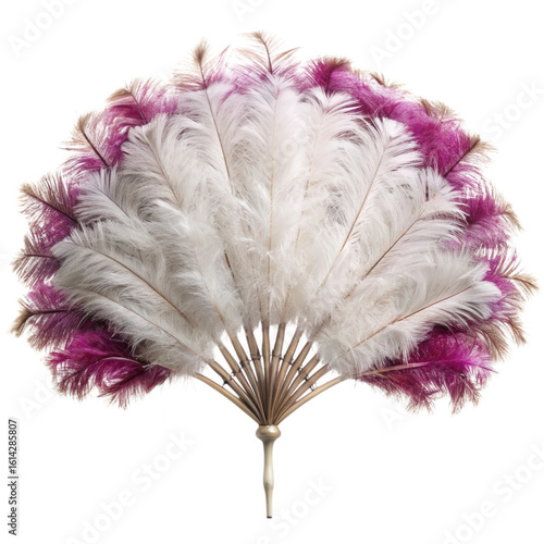 Elegant white and pink feather fan isolated on transparent background
