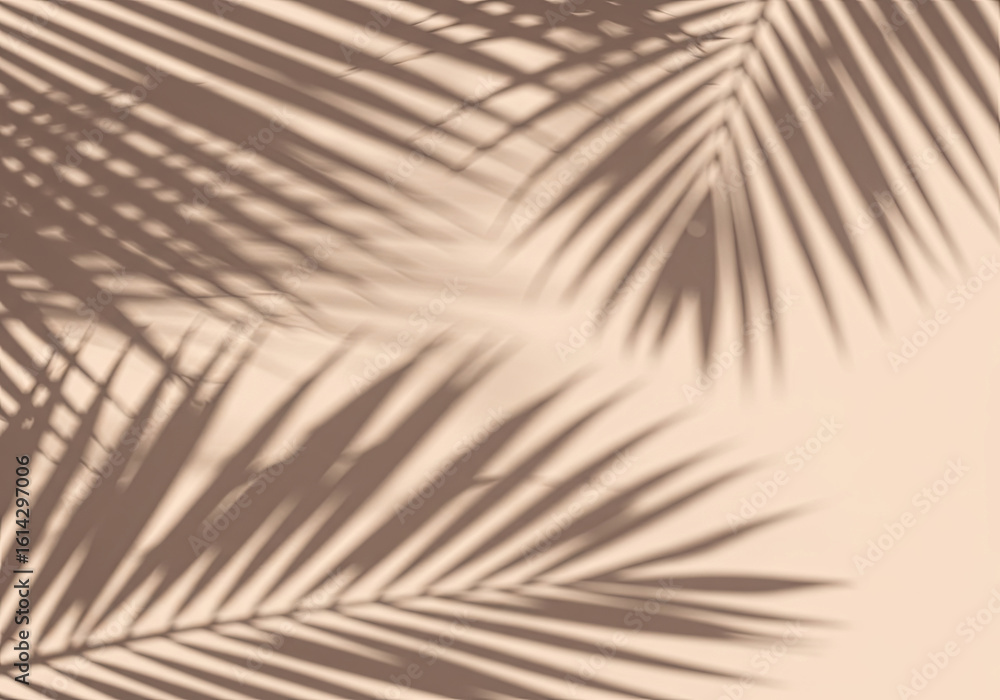 Fototapeta premium Tropical Palm Shadows and Textures Minimal Aesthetic