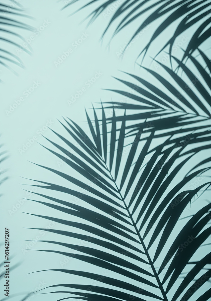 Fototapeta premium Tropical Palm Shadows and Textures Minimal Aesthetic