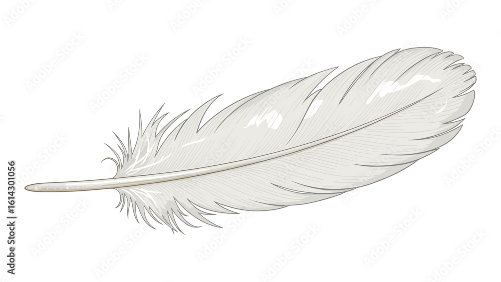 Obraz premium Detailed illustration of a delicate white feather for artistic projects and designs