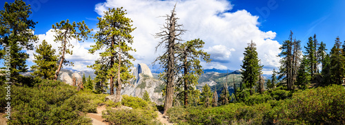 Serene Forest Scenery, Nature Beauty, Outdoor Recreation