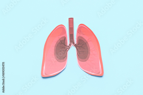 Paper lungs on blue background