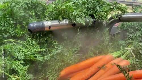 Produce mister spraying a fine water mist on fresh carrots in a supermarket