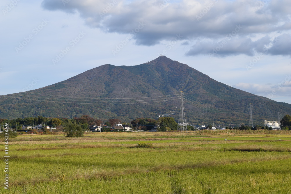 Fototapeta premium 筑波山 茨城県つくば市 ／ 日本百名山、日本百景、関東の富士見百景、日本の地質百選に選定されている、標高877mの筑波山です。男体山と女体山の２つの峰を持ち、古くから信仰の山として栄えてきました。