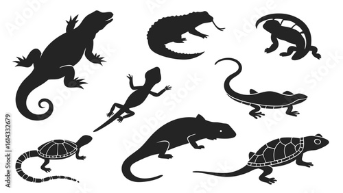 Silhouettes of Various Lizard Species Including Frogs and Turtles on White