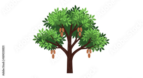 Isolated cocoa tree illustration showcasing rich green foliage and hanging cocoa pods against a plain background offering serene natural