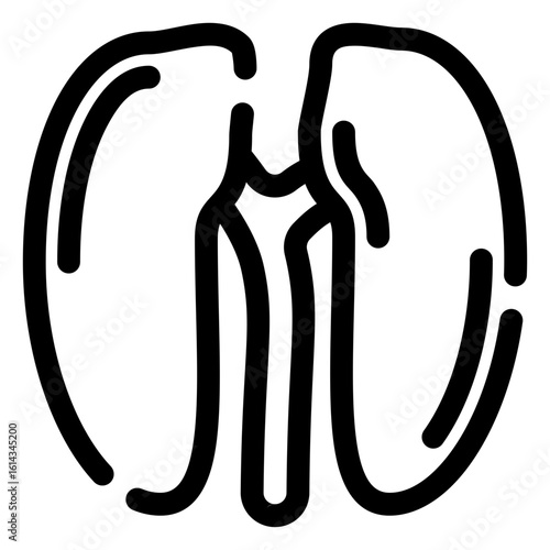 Kidney icon