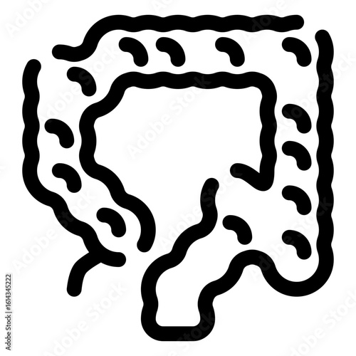 Large intestine icon