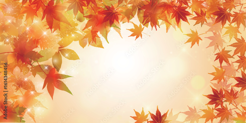 紅葉 もみじ 秋 背景 紅葉 もみじ 秋 背景