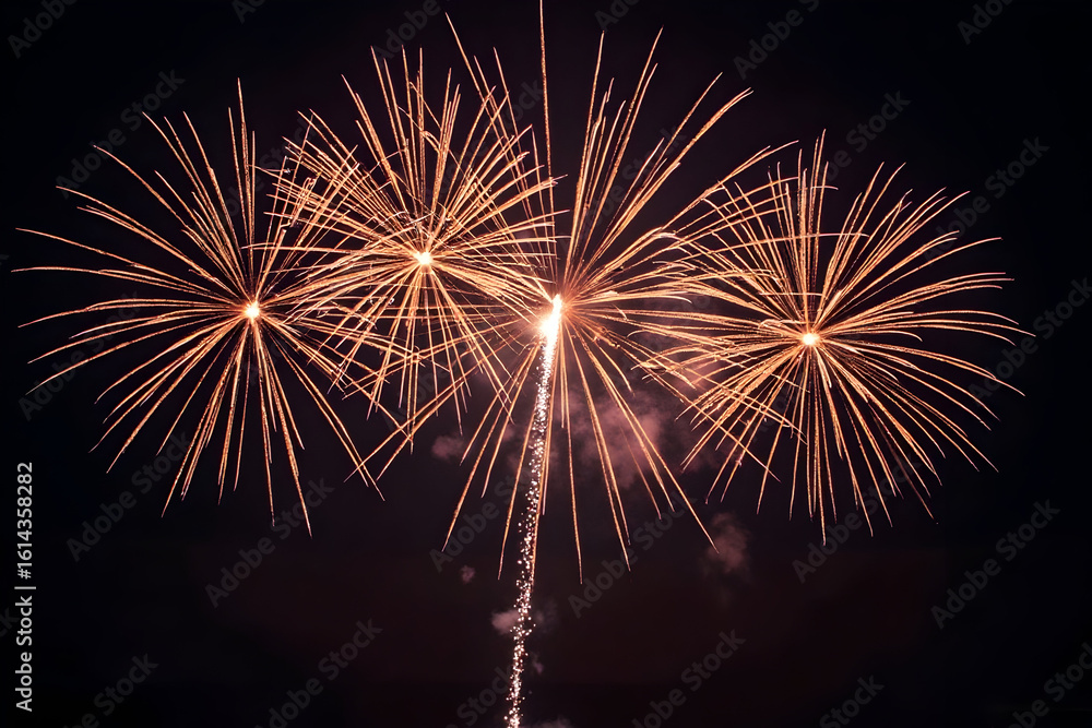 Fireworks Display at Night Celebrating Special Occasion Fireworks Display at Night Celebrating Special Occasion