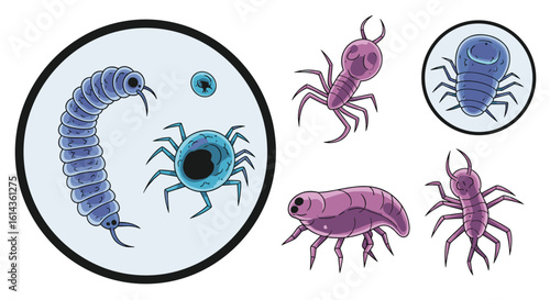 Microscopic arthropods and invertebrate life forms under magnification exploring the tiny world of creatures