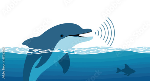 Intelligent marine mammal communicating through underwater sound waves emitting echolocation signals for navigation and hunting