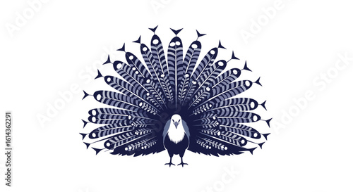 Majestic peacock displaying its vibrant plumage a symbol of beauty grace and elegance