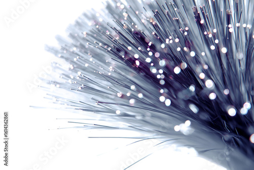 Fiber Optics isolated on a transparent background