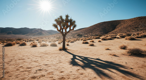 Desert Oasis: Joshua Trees Majestic Silhouette Against a Sunny Sky.