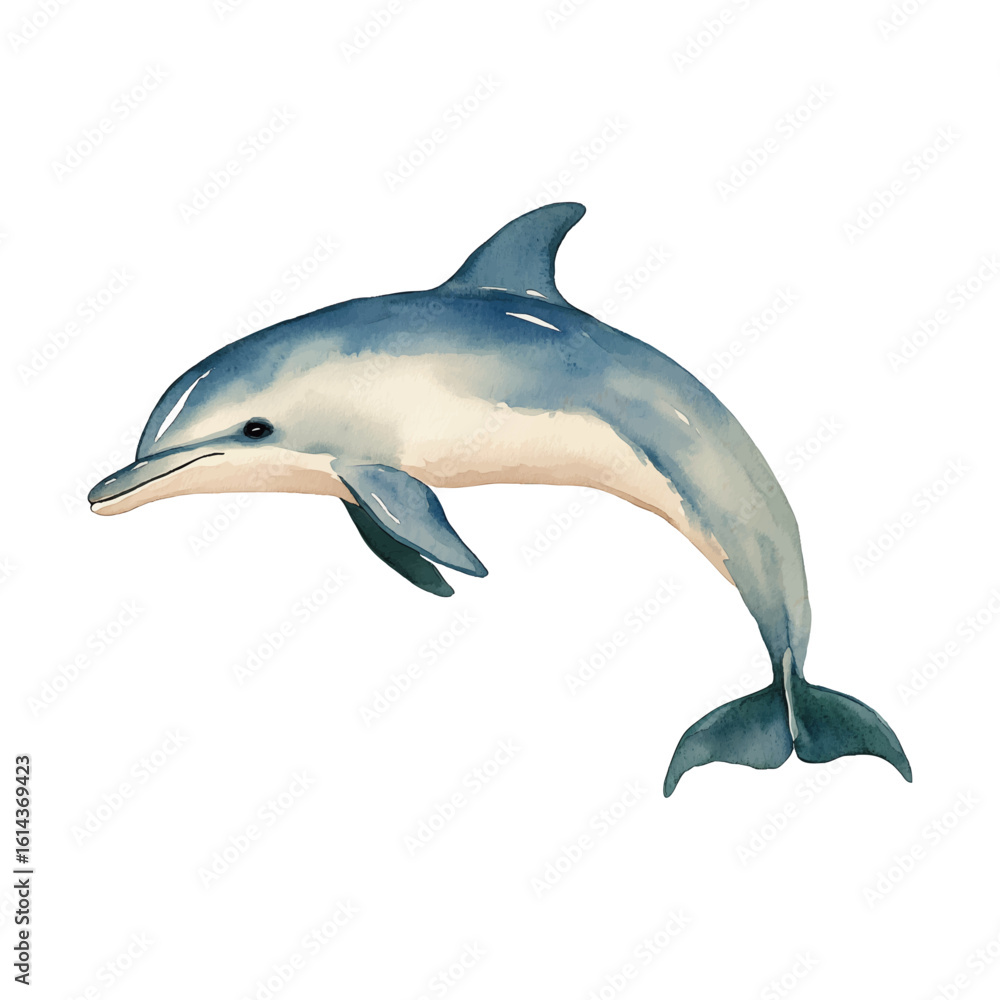 Fototapeta premium watercolour clipart dolphin isolated on white background