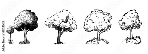 Tree sketch and outline vector set in hand-drawn style with vintage shading and nature elements
