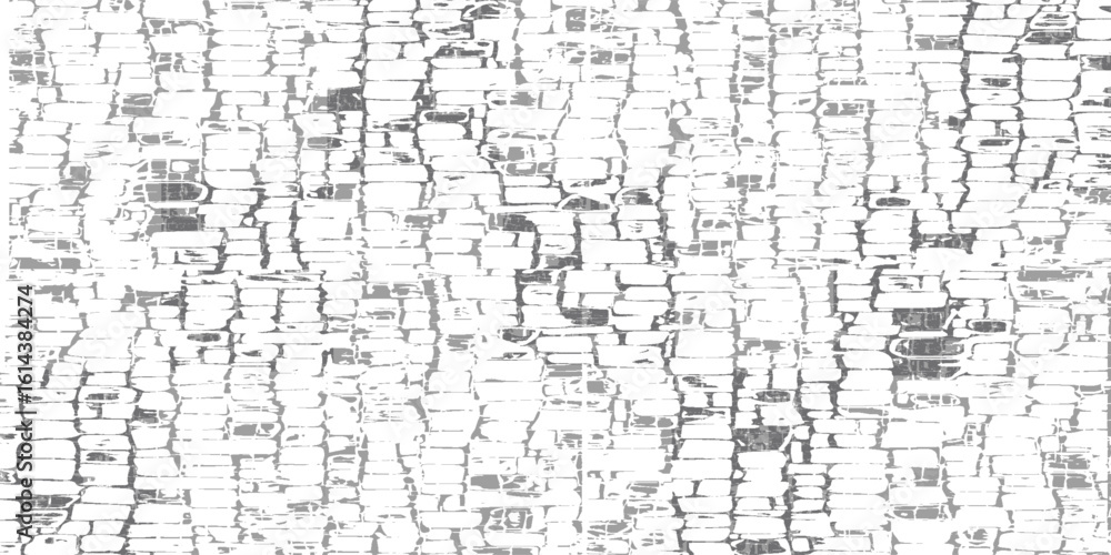Obraz premium Grunge black and white texture. Monochrome background of cracks, Dark design abstract surface modern good pattern simple art illustrations interior texture
