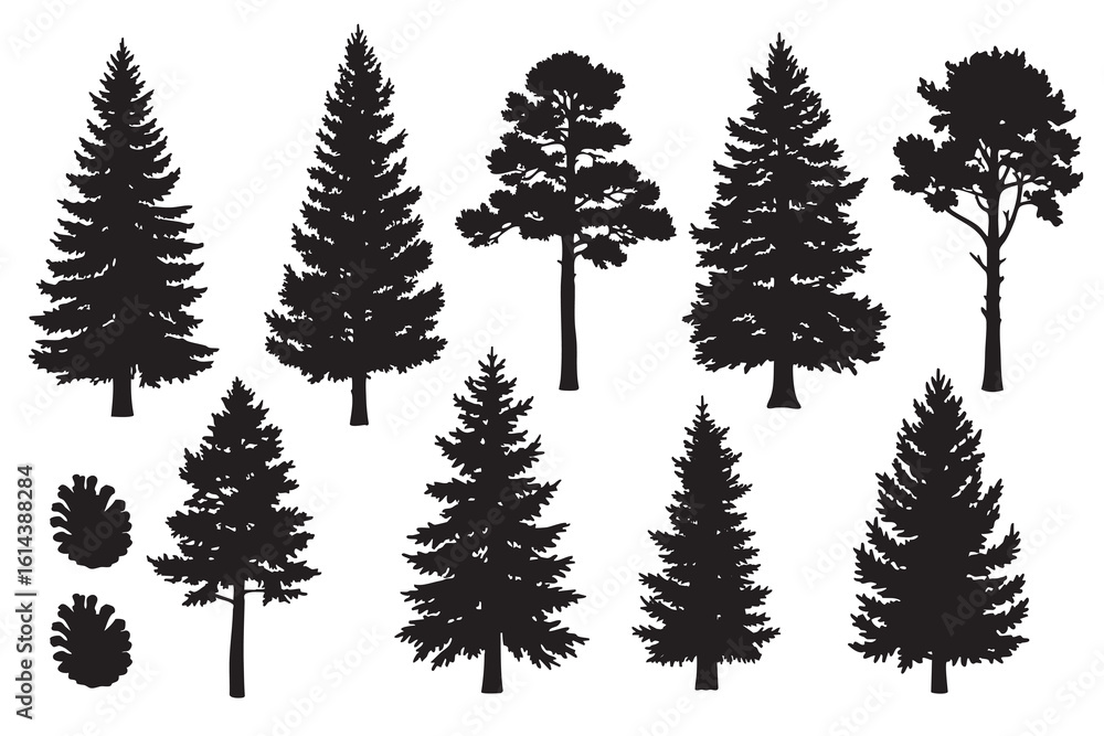 Obraz premium Black silhouette pine tree collection. Vector illustration.