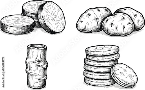 A sketch illustration of potatoes and taro root in various forms and cuts