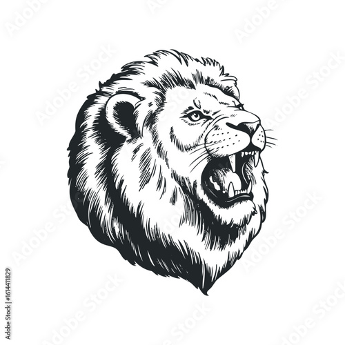 Detailed hand drawn vector illustration of a roaring lion head