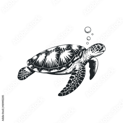 Hand drawn vector illustration of a sea turtle underwater