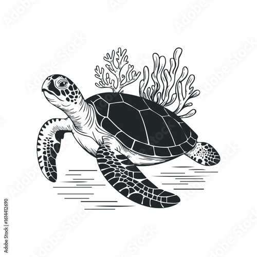 Hand drawn vector illustration of a sea turtle swimming gracefully
