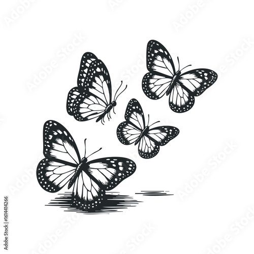 Hand drawn butterflies flying on a white background