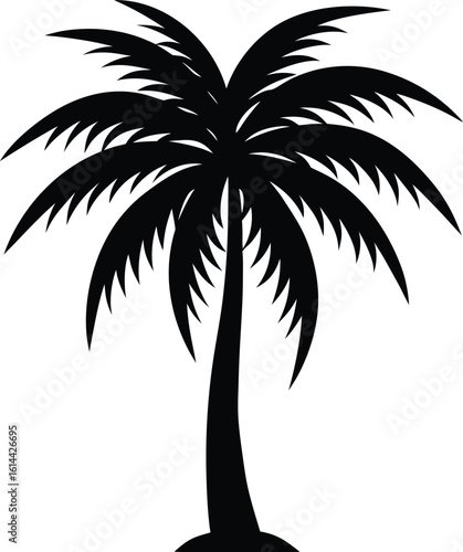 Palm tree  vector silhouette  illustrtion