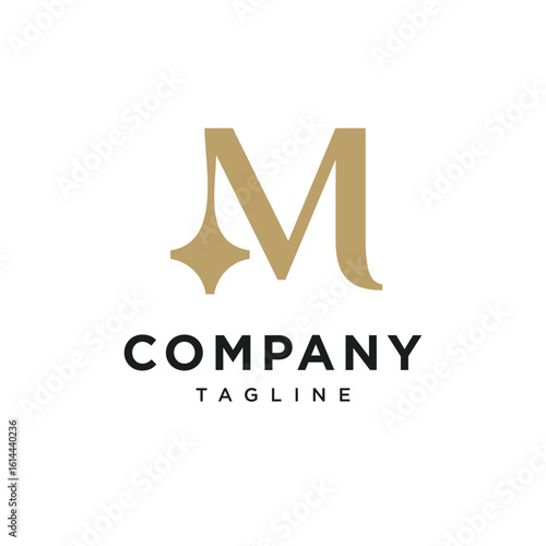 Letter M Shine Star Logo Icon Vector